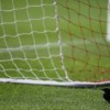 A magpie sits on the pitch