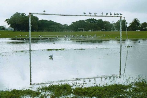 02_flood_soccer_fieldd